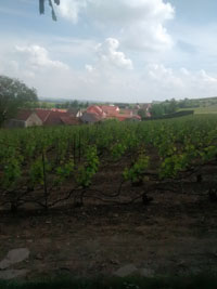 25.05.2016 - 15:51 Uhr